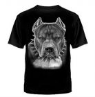 Футболка мужская 5871