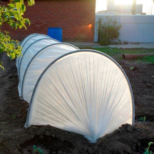 Парник Подснежник длина 8 м