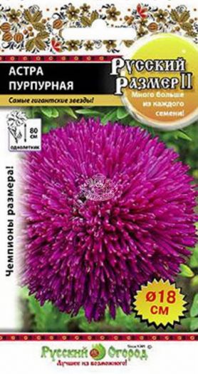 Астра РУССКИЙ РАЗМЕР Пурпур (НК), 0,2 гр
