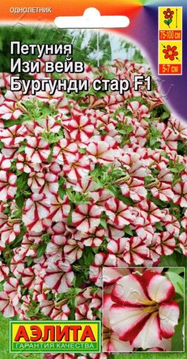 Петуния Изи вейв бургунди стар F1, 7 шт