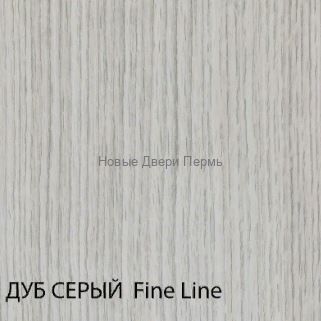 "Турин 525 АПС" Молдинг SC Межкомнатная дверь с матовым стеклом экошпон