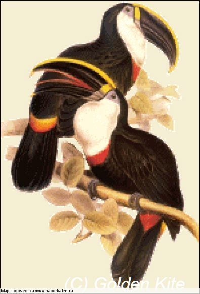 696 Toucans