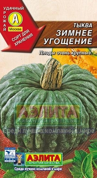 Тыква "Зимнее угощение", 1 гр