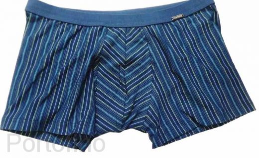 228-107 Трусы мужские Various Cornette