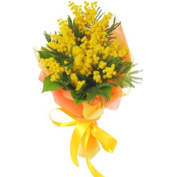 Мимоза в упаковке (3 ветки)