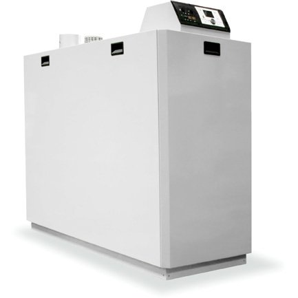 Kentatsu impect-6