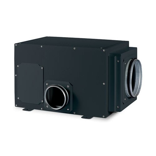 DanVex DD - 26F