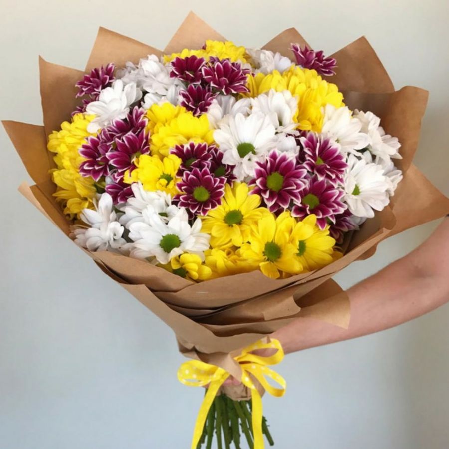 11 кустовых хризантем "микс"