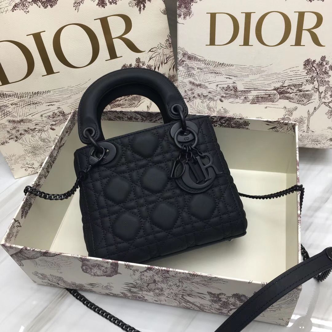 Lady Dior Mini 17 cm