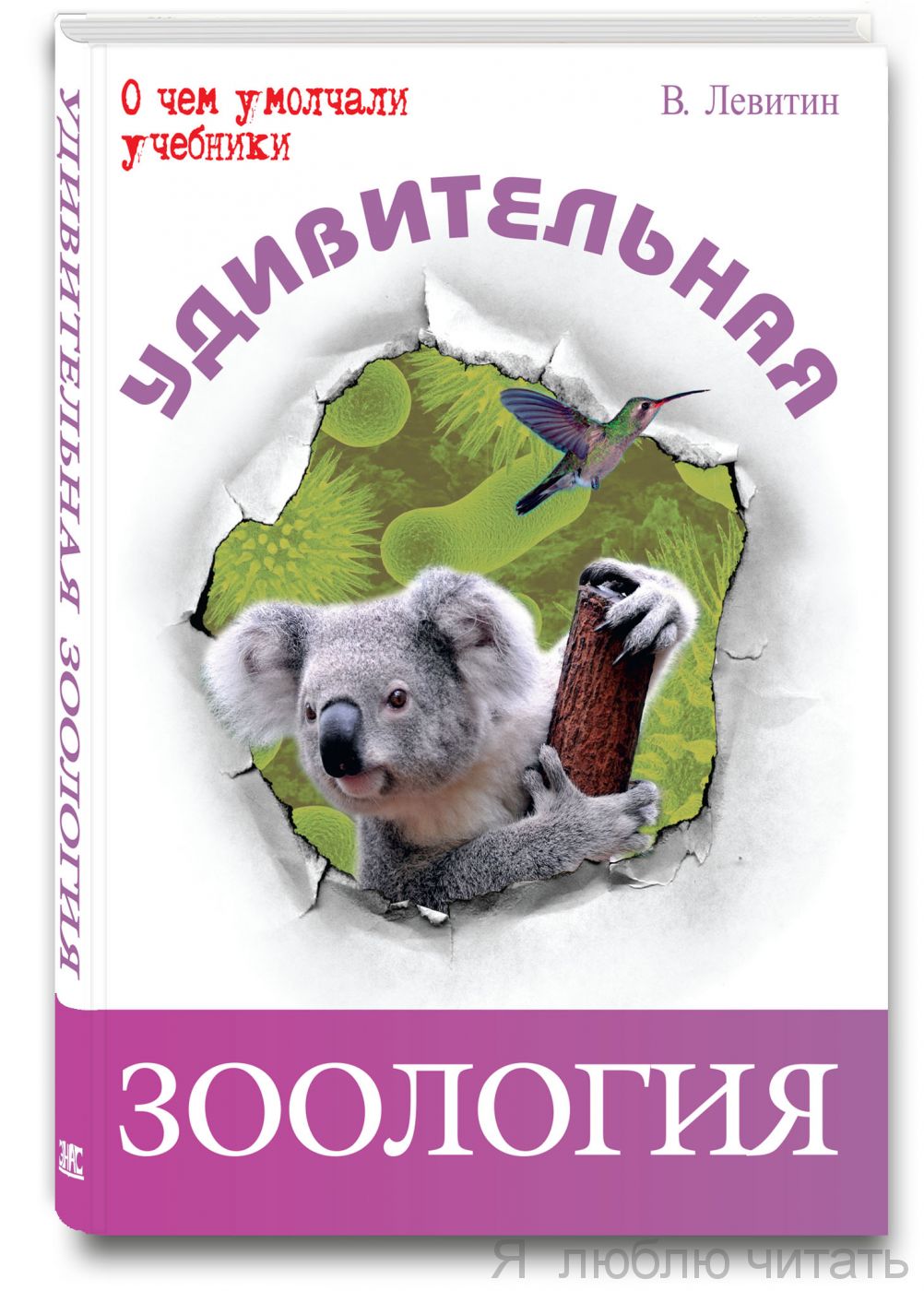Удивительная зоология