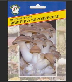 Мицелий грибов Вешенка королевская, 12 шт