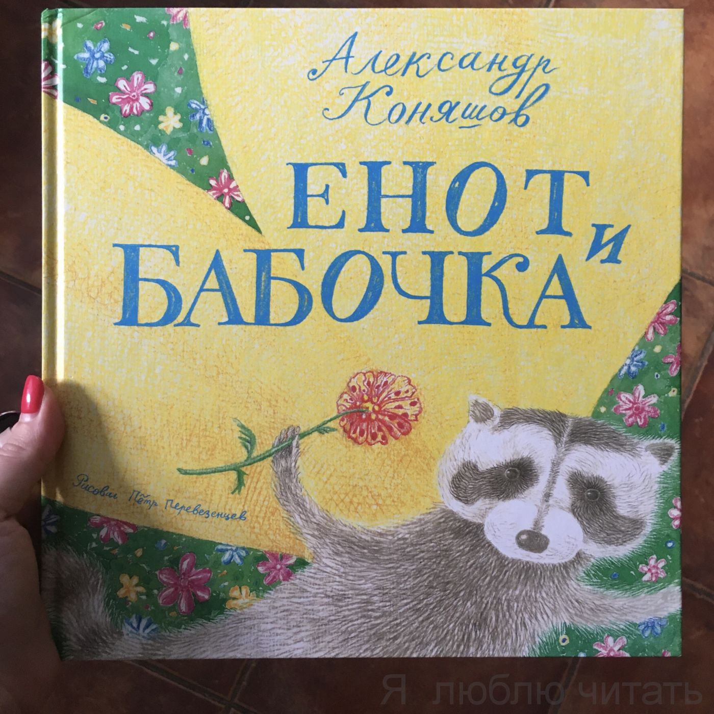 Енот и бабочка