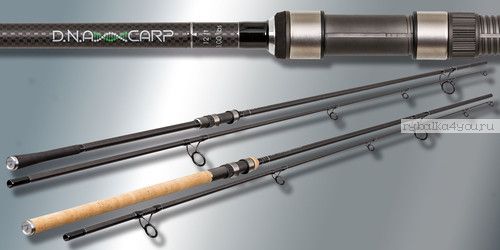 Удилище карповое Sportex D.N.A. Carp 13'' 3,75 lbs