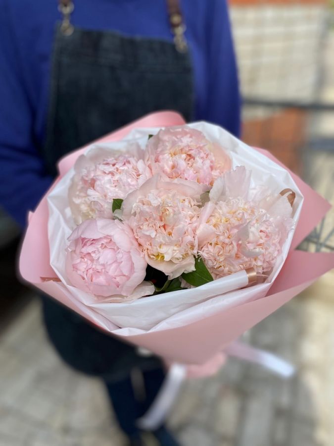 Пионы Ангел Чикс