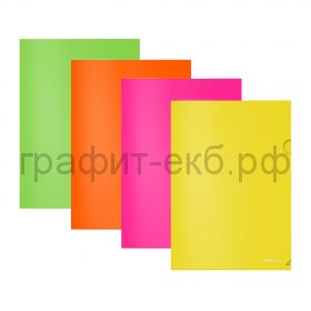 Конверт А4 плотный ErichKrause Glossy Neon полупрозрачный 50159