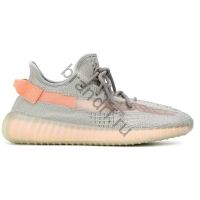 Adidas Yeezy boots 350 V2