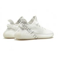 Adidas Yeezy boots 350 V2