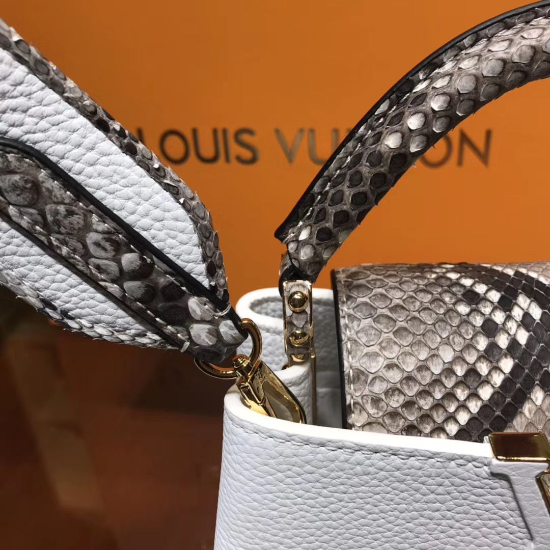 Louis Vuitton Cappucines Mini 21 cm