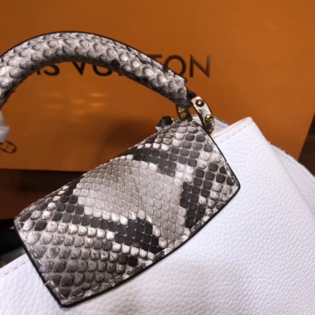 Louis Vuitton Cappucines Mini 21 cm