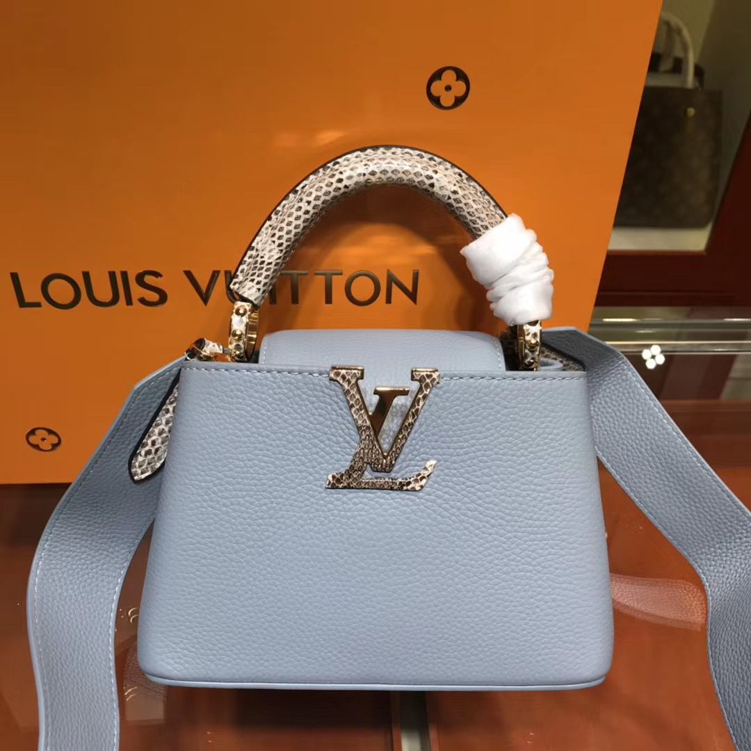 Louis Vuitton Cappucines Mini