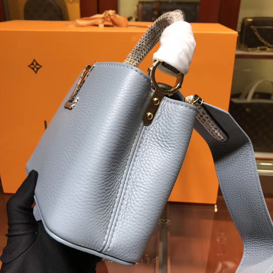 Louis Vuitton Cappucines Mini
