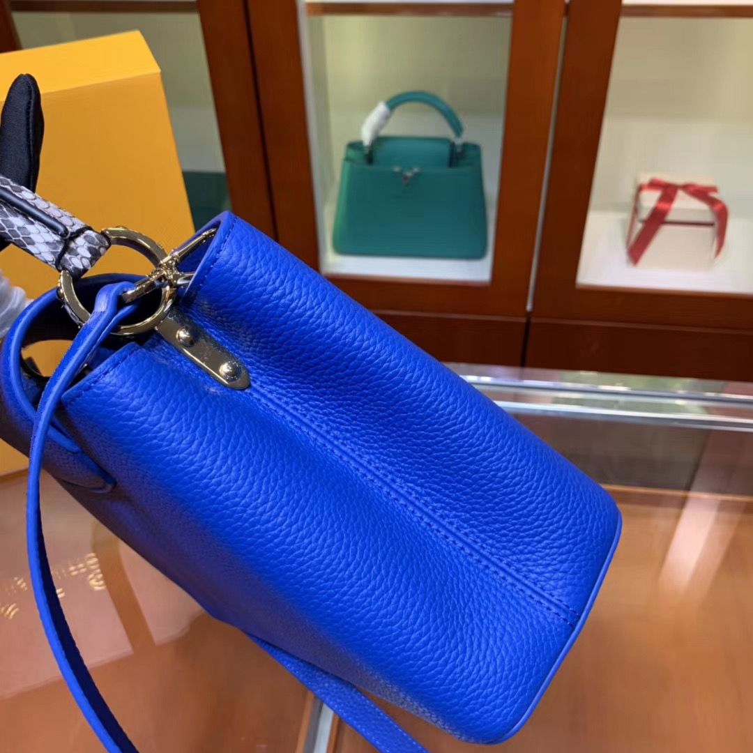 Louis Vuitton Cappucines 31 cm