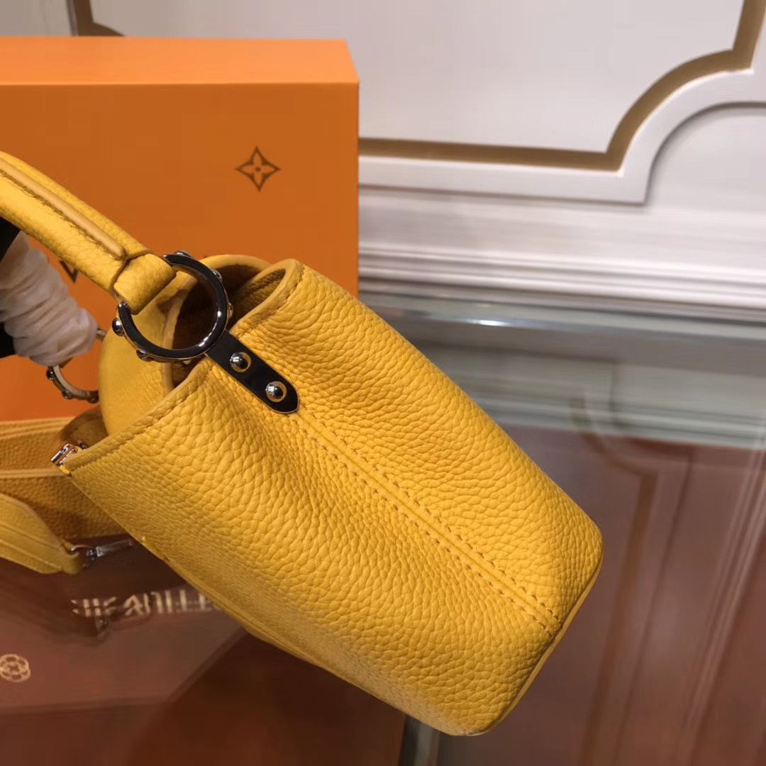 Louis Vuitton Cappucines Mini 21 cm