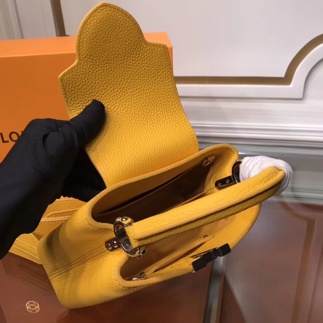 Louis Vuitton Cappucines Mini 21 cm