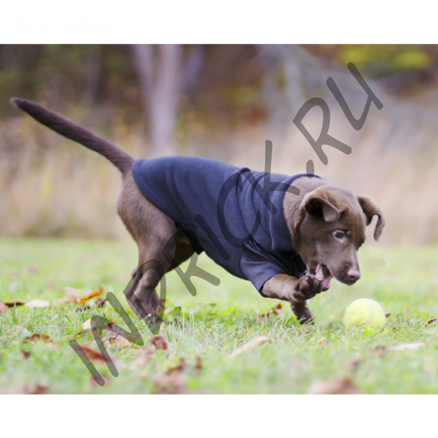 Флисовый свитер Back on Track для собак Bianca