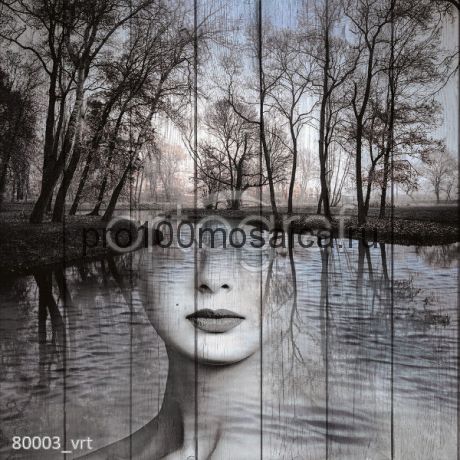 80003 Картина на досках серия ART