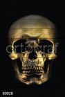 80028 Картина на досках серия DARK