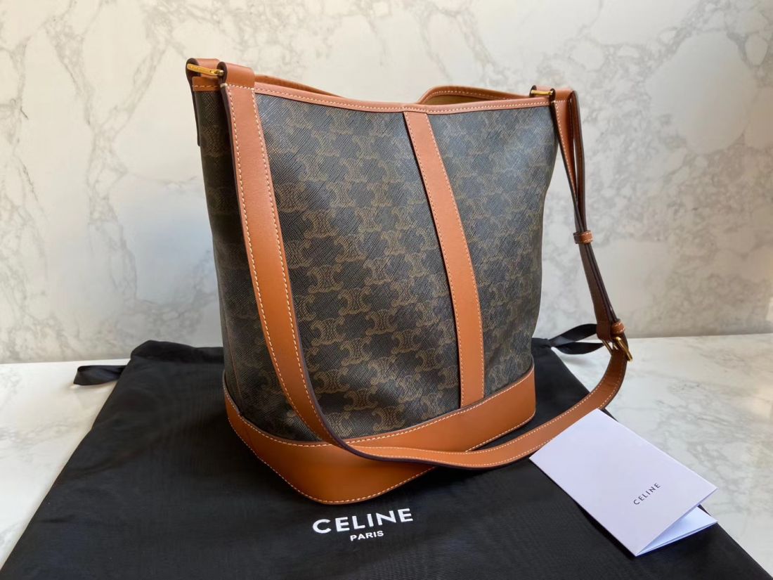 Сумка CELINE TRIOMRHE CANVAS