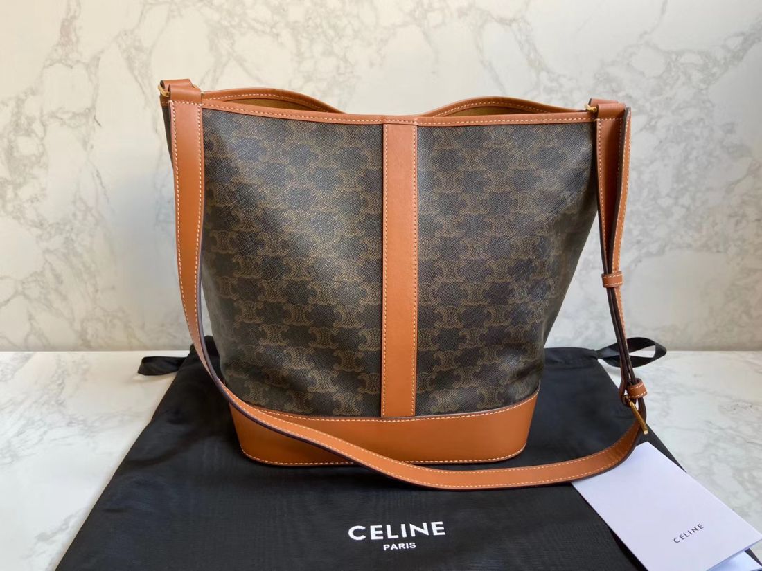 Сумка CELINE TRIOMRHE CANVAS