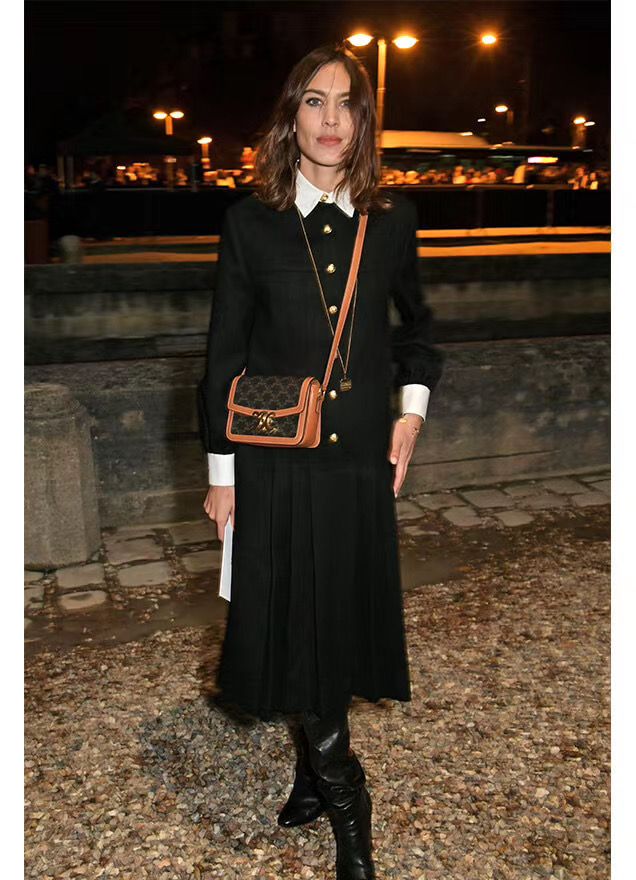 Клатч CELINE Triomphe Canvas