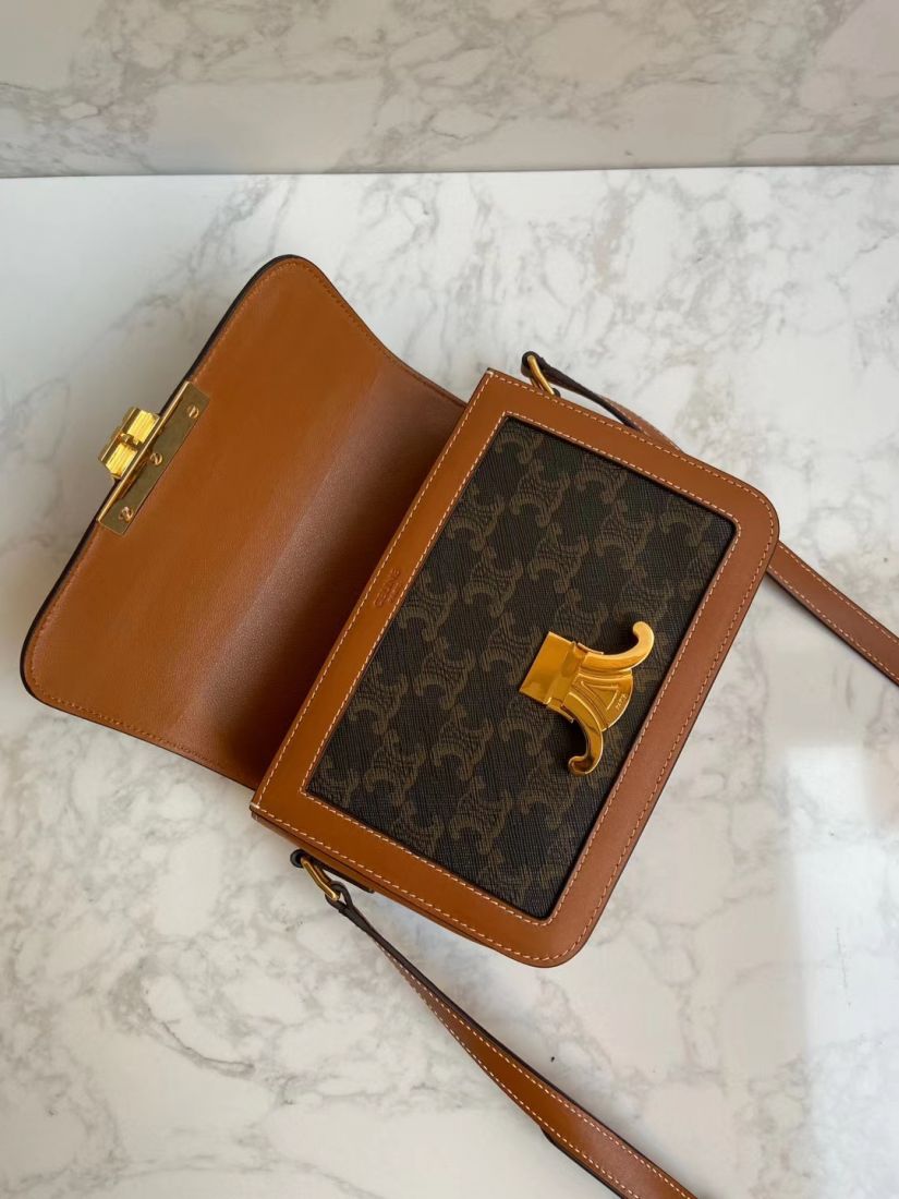 Клатч CELINE Triomphe Canvas