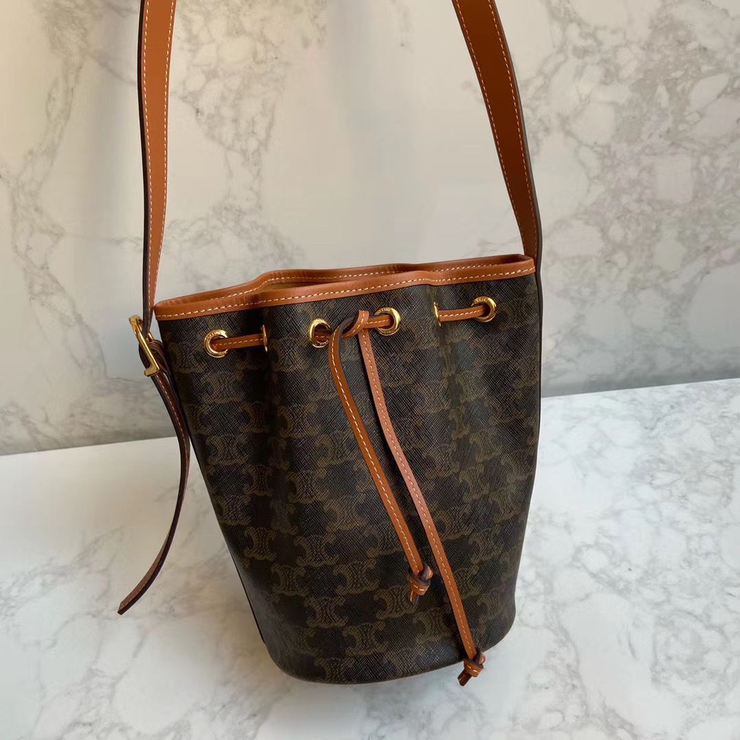 Сумка CELINE Triomphe Canvas Mini