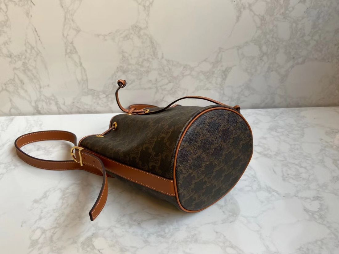 Сумка CELINE Triomphe Canvas Mini