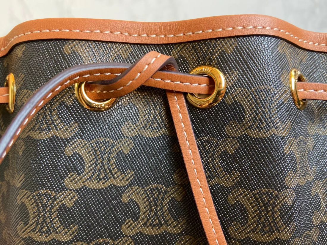 Сумка CELINE Triomphe Canvas Mini