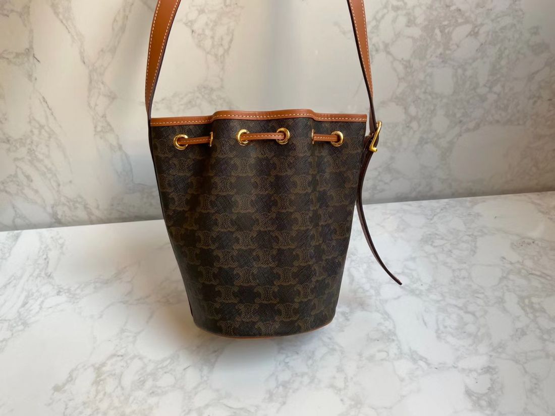 Сумка CELINE Triomphe Canvas Mini