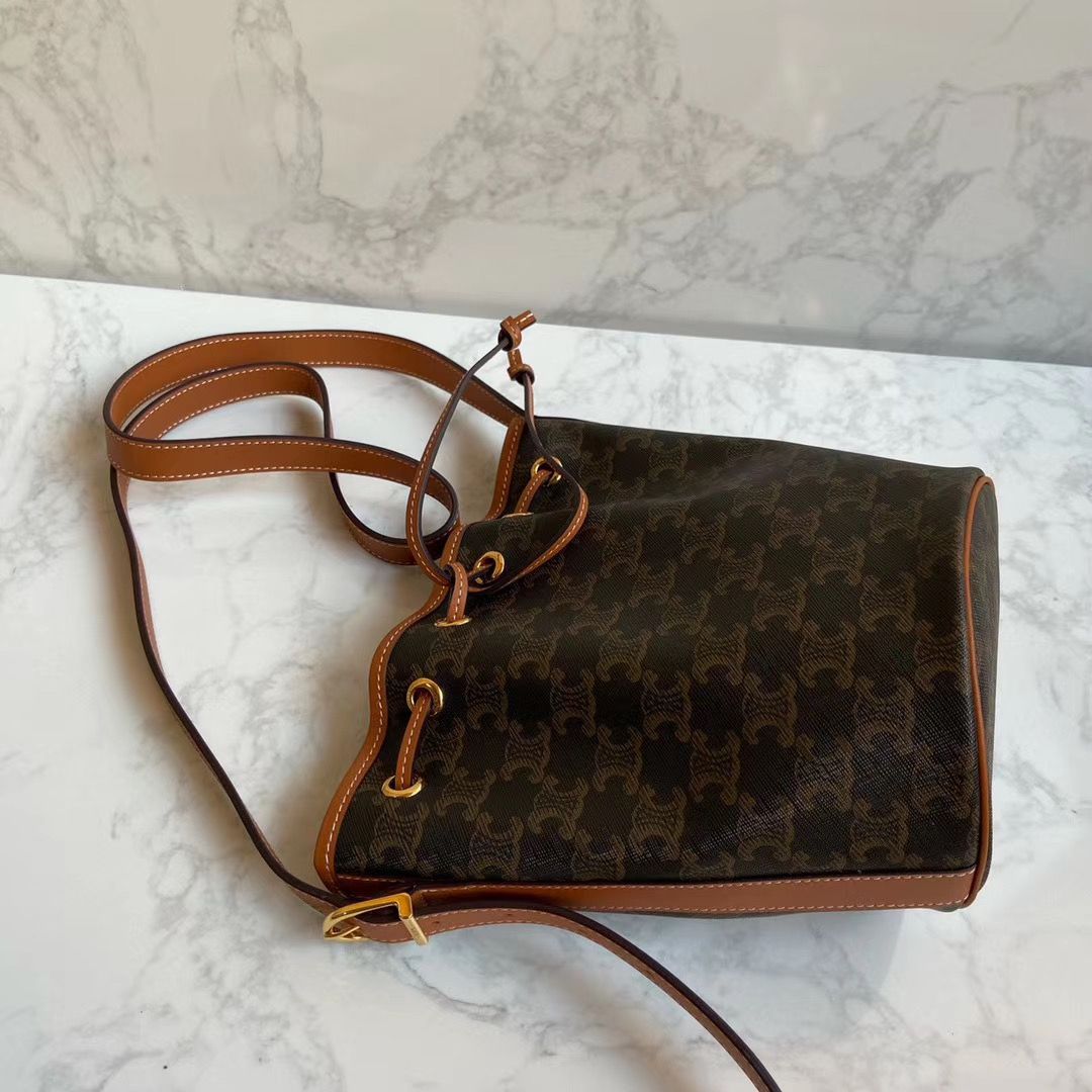 Сумка CELINE Triomphe Canvas Mini