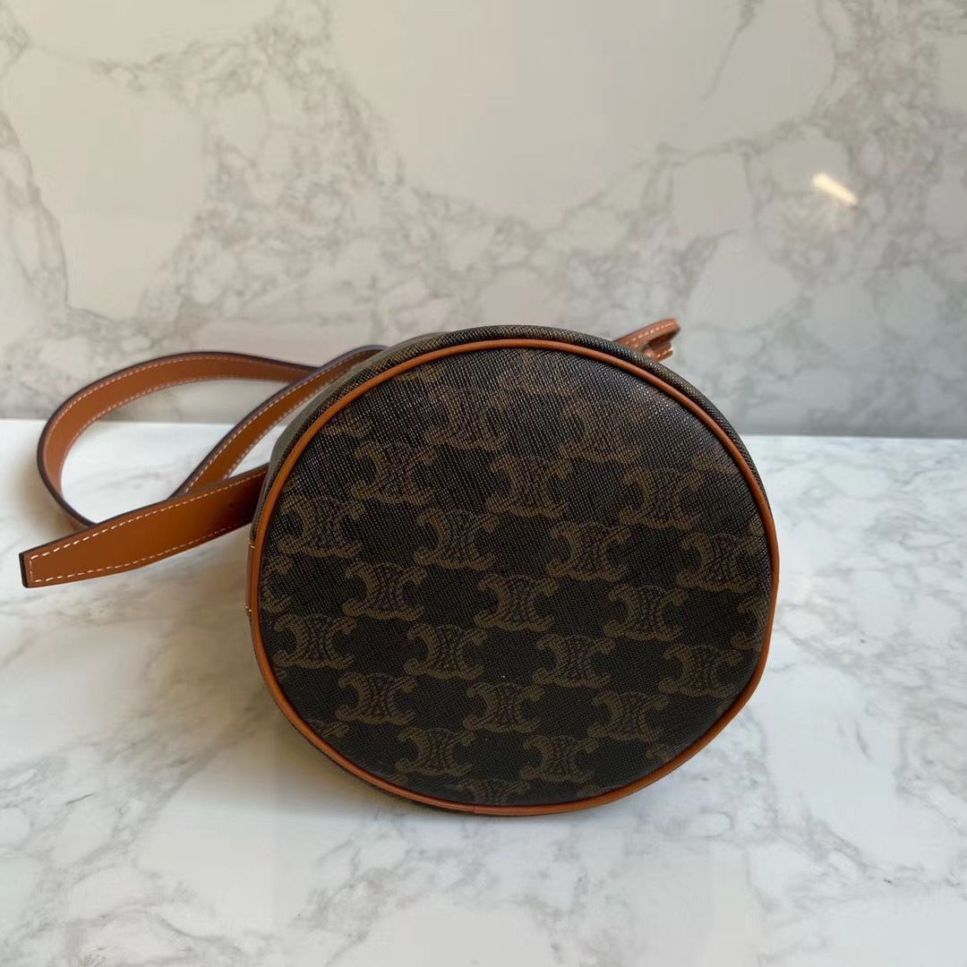 Сумка CELINE Triomphe Canvas Mini