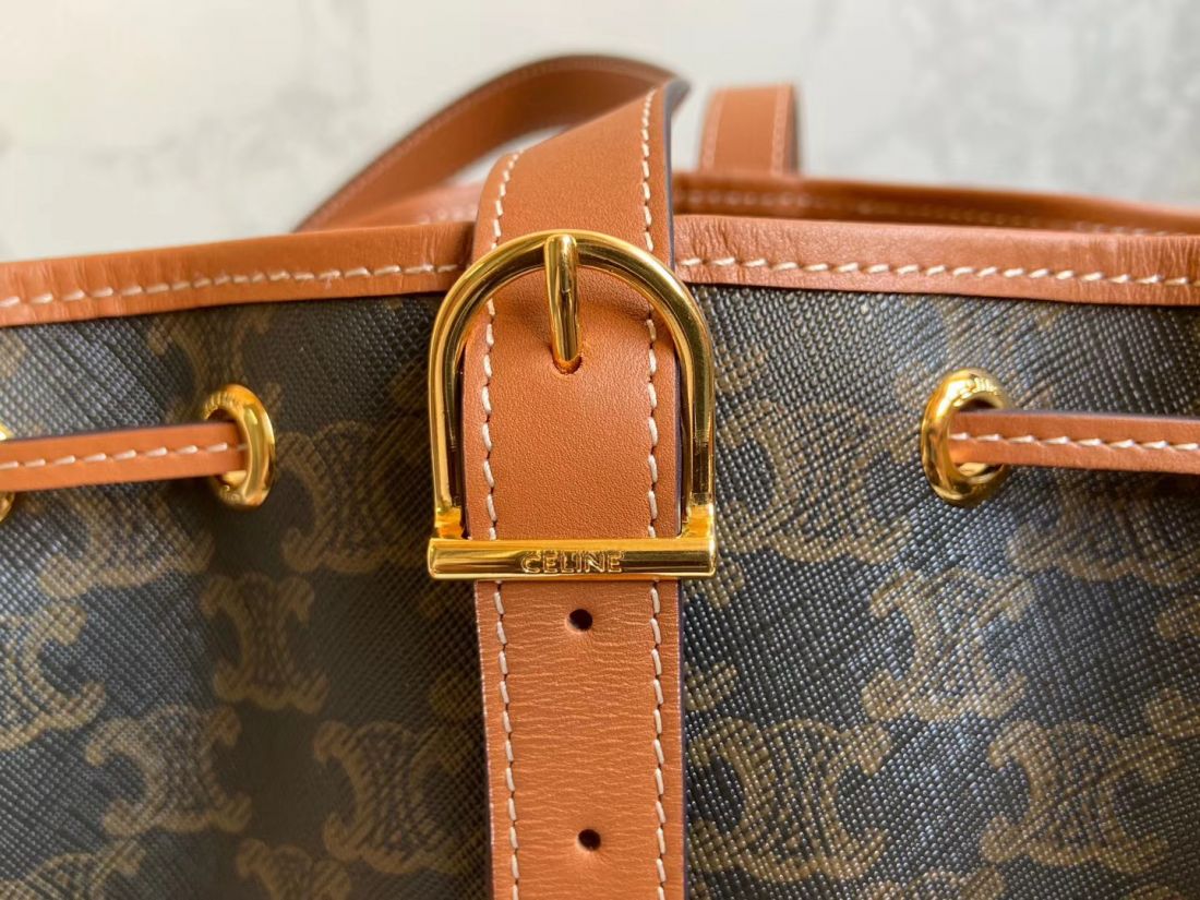 Сумка CELINE Triomphe Canvas Mini