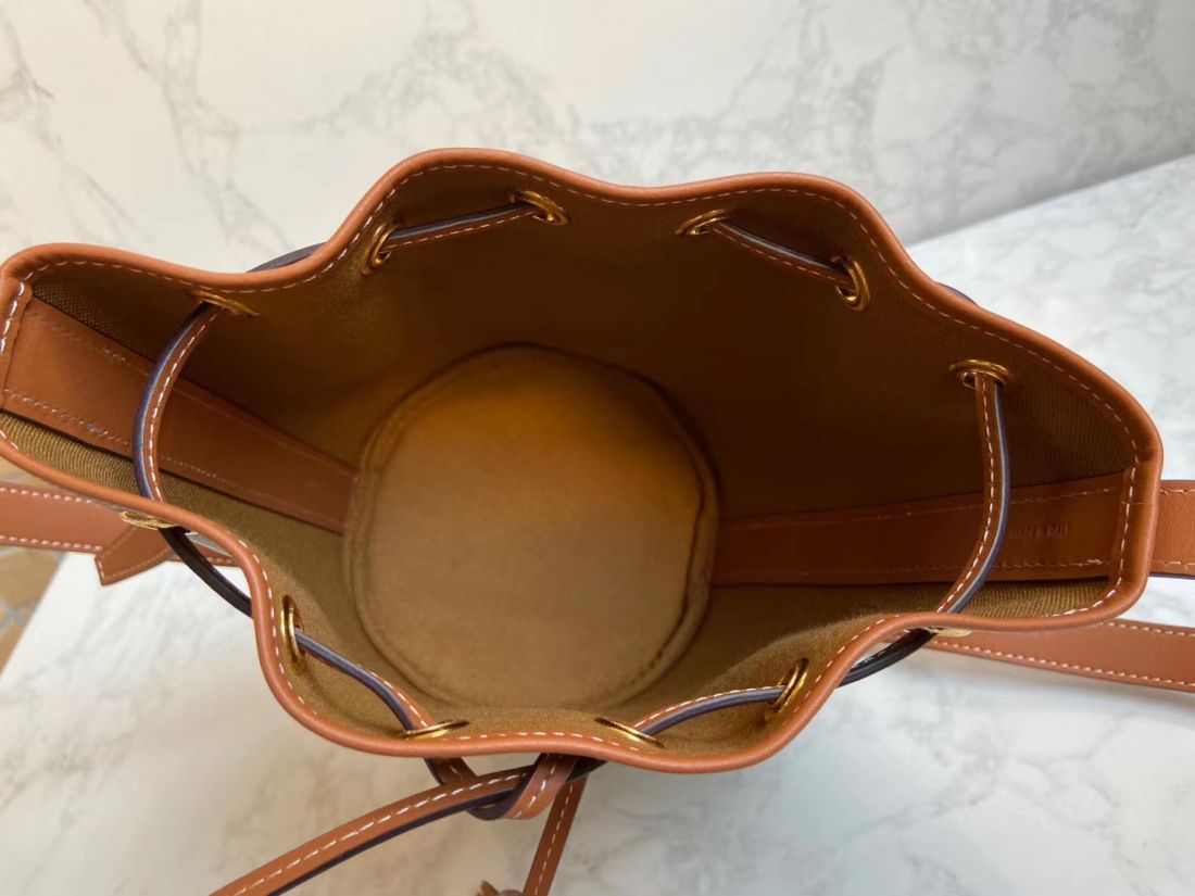 Сумка CELINE Triomphe Canvas Mini