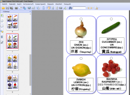 Карточки для мир-книжки цветные. Еда, посуда. на 4 языках