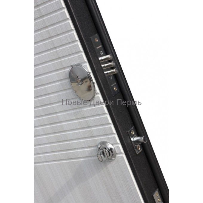 "ТОКИО" Дуб сонома , дверь входная