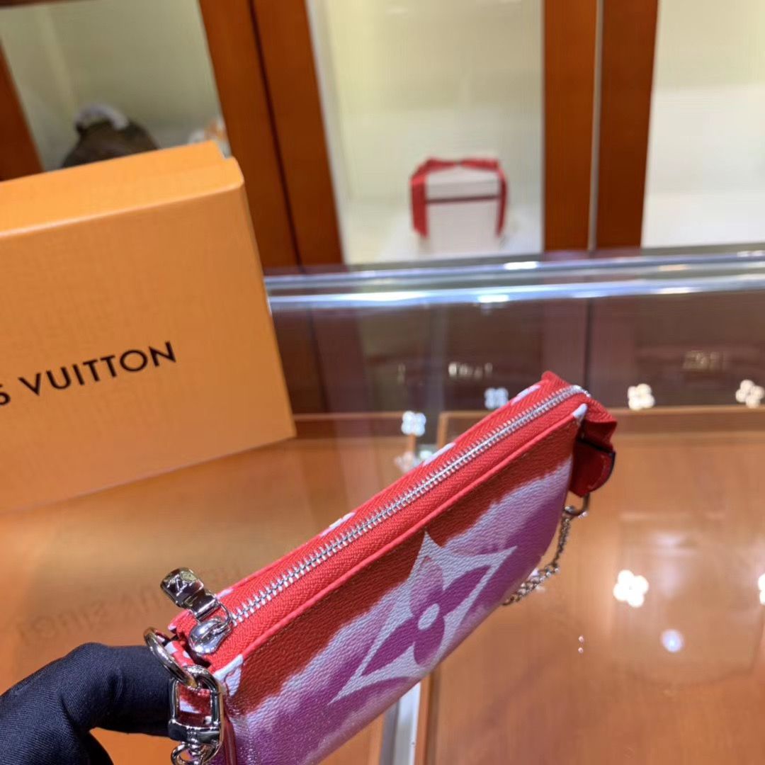 Louis Vuitton Pochette Accessoires