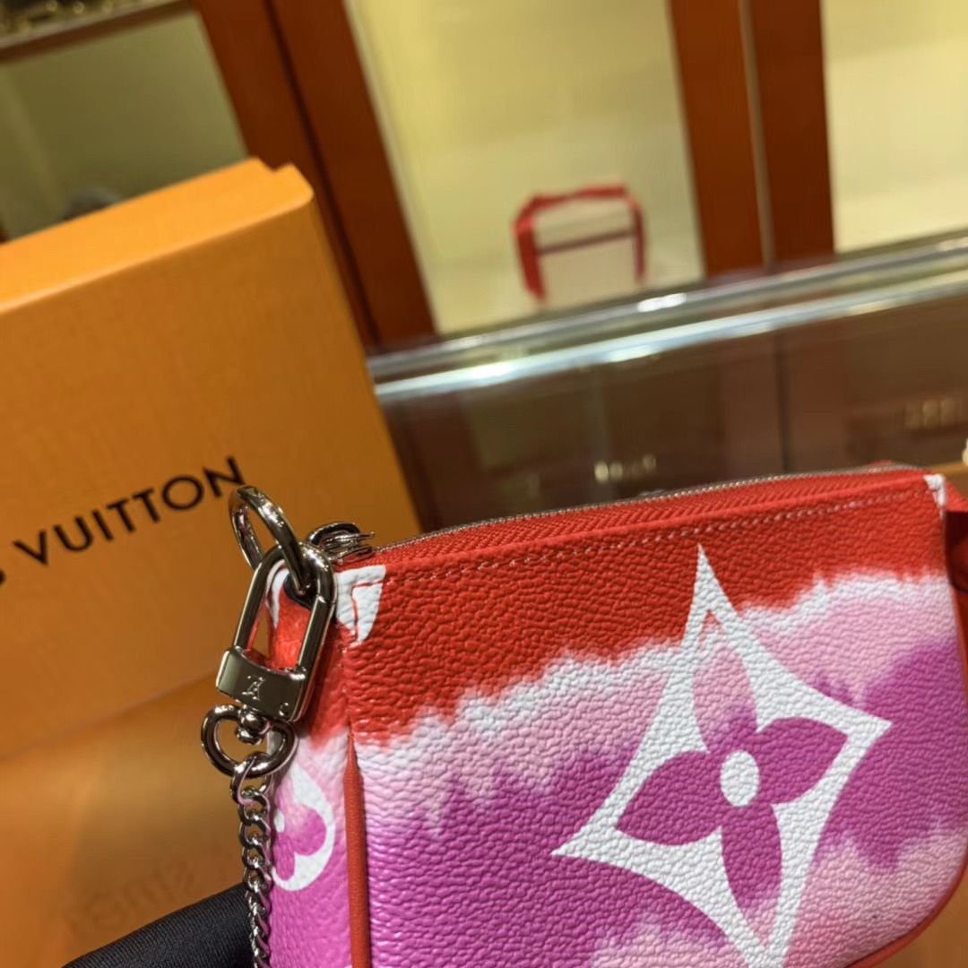 Louis Vuitton Pochette Accessoires