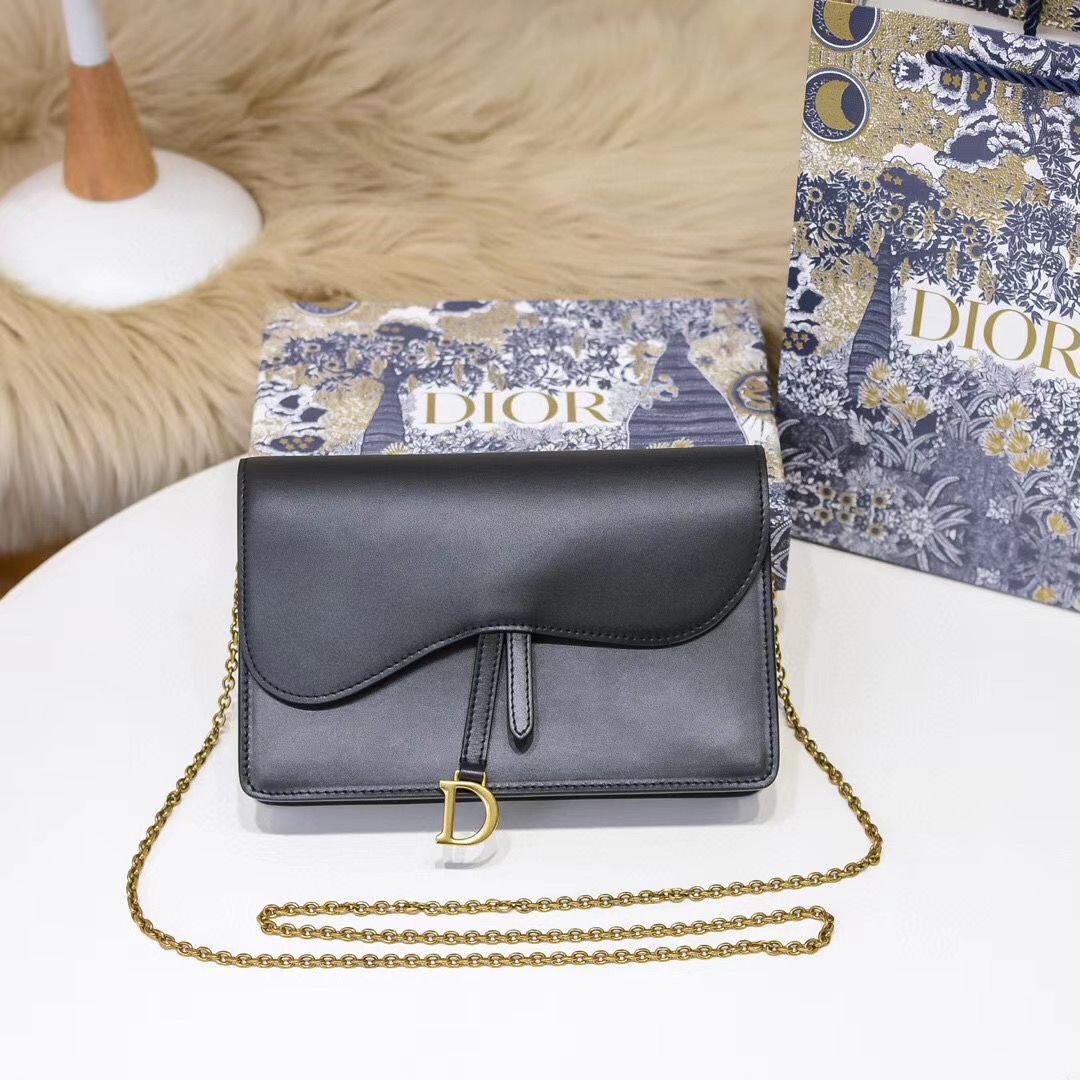 Dior Oblique Woc 22 cm