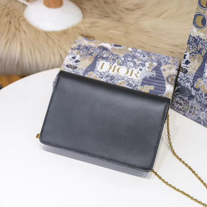 Dior Oblique Woc 22 cm