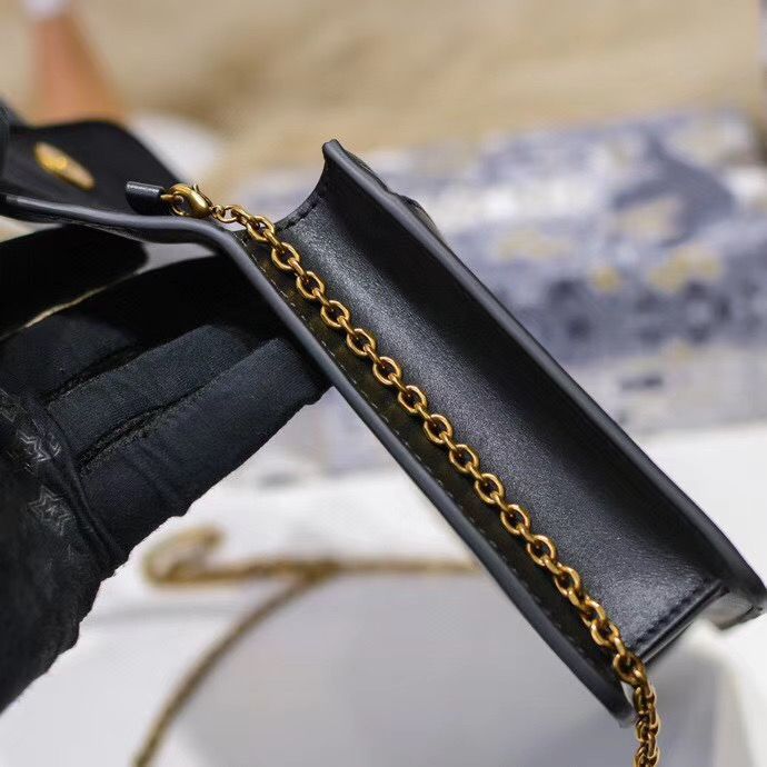 Dior Oblique Woc 22 cm